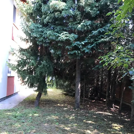Fecske 17 *