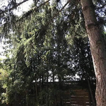 Apartman Fecske 17